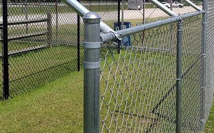 Chain Link Fence